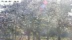 takano3-20250508165043.jpg
