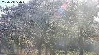 takano3-20250508170045.jpg