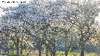 takano3-20250508171046.jpg