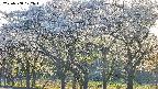 takano3-20250508172045.jpg