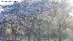 takano3-20250508173044.jpg