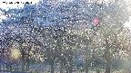 takano3-20250508174045.jpg