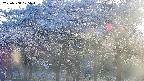 takano3-20250508175044.jpg