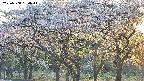 takano3-20250508180045.jpg