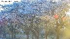 takano3-20250508181046.jpg