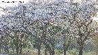 takano3-20250508182044.jpg