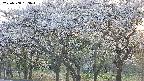 takano3-20250508183044.jpg
