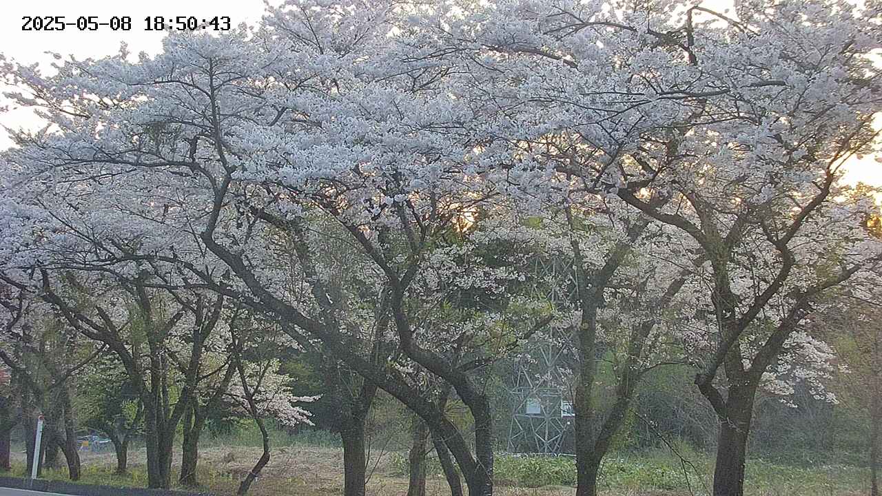 takano3-20250508185044.jpg