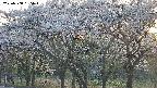 takano3-20250508185044.jpg