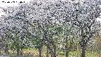 takano3-20250509050044.jpg