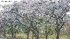 takano3-20250509051044.jpg