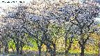 takano3-20250509053044.jpg