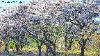 takano3-20250509054043.jpg