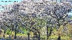 takano3-20250509055043.jpg