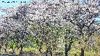 takano3-20250509061042.jpg