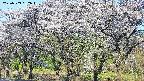 takano3-20250509062044.jpg