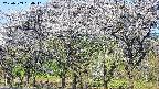 takano3-20250509064041.jpg
