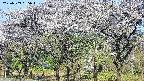 takano3-20250509065044.jpg