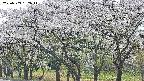 takano3-20250509132046.jpg