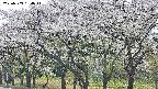 takano3-20250509134043.jpg