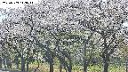 takano3-20250509143046.jpg