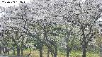 takano3-20250509153045.jpg