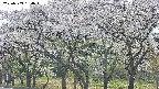 takano3-20250509154044.jpg