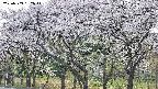 takano3-20250509182045.jpg
