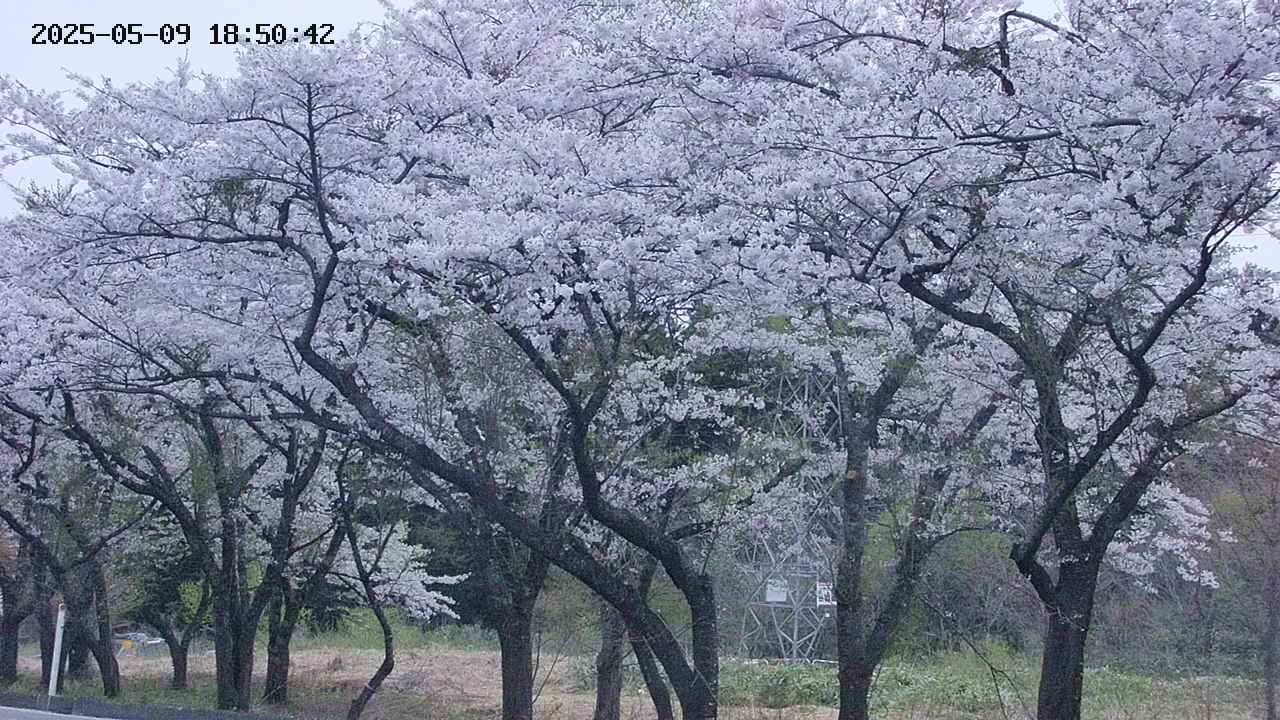 takano3-20250509185043.jpg