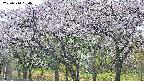 takano3-20250510050042.jpg