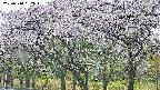 takano3-20250510052044.jpg