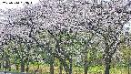 takano3-20250510053044.jpg
