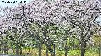 takano3-20250510055042.jpg