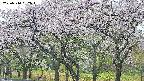 takano3-20250510062044.jpg