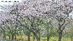takano3-20250510063042.jpg