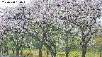 takano3-20250510064044.jpg