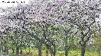takano3-20250510071044.jpg