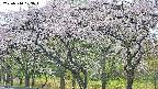 takano3-20250510073044.jpg