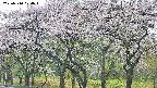 takano3-20250510074044.jpg
