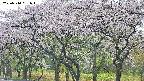 takano3-20250510081044.jpg
