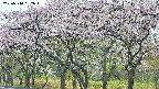 takano3-20250510082044.jpg