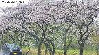 takano3-20250510083043.jpg