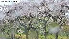 takano3-20250510084043.jpg