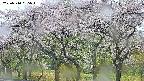 takano3-20250510085044.jpg