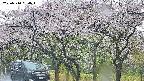 takano3-20250510090044.jpg