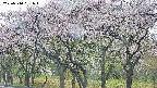 takano3-20250510091045.jpg