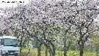 takano3-20250510093044.jpg
