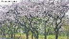 takano3-20250510100043.jpg