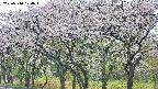 takano3-20250510104044.jpg
