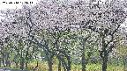 takano3-20250510105045.jpg